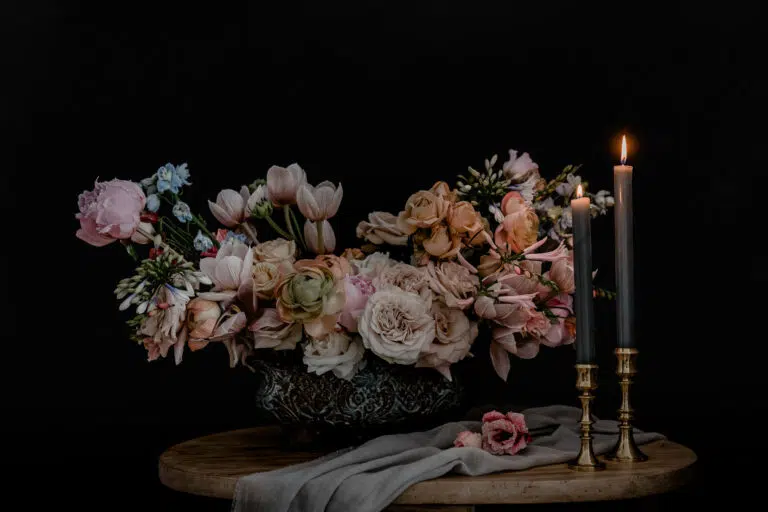 Editorial Marienburg